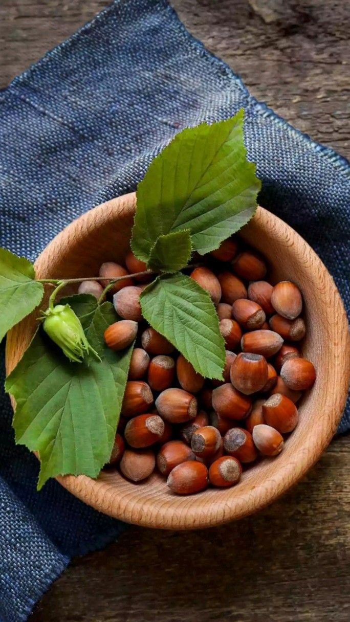 Customs Clearance & Import Regulations for Bulk Hazelnut Kernels in EU, Middle East & Africa